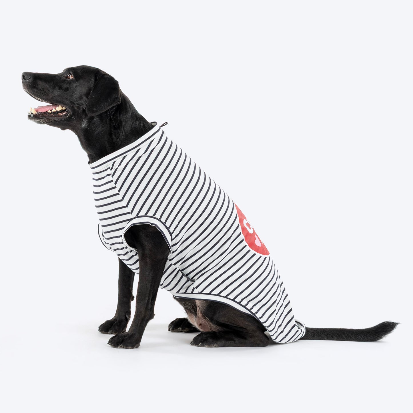 HUFT Cuddle Bug Striped T-Shirt For Dog - Black & White