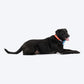 HUFT Personalised Summer Bloom Collar With Bow Tie For Dog - Blue - Heads Up For Tails