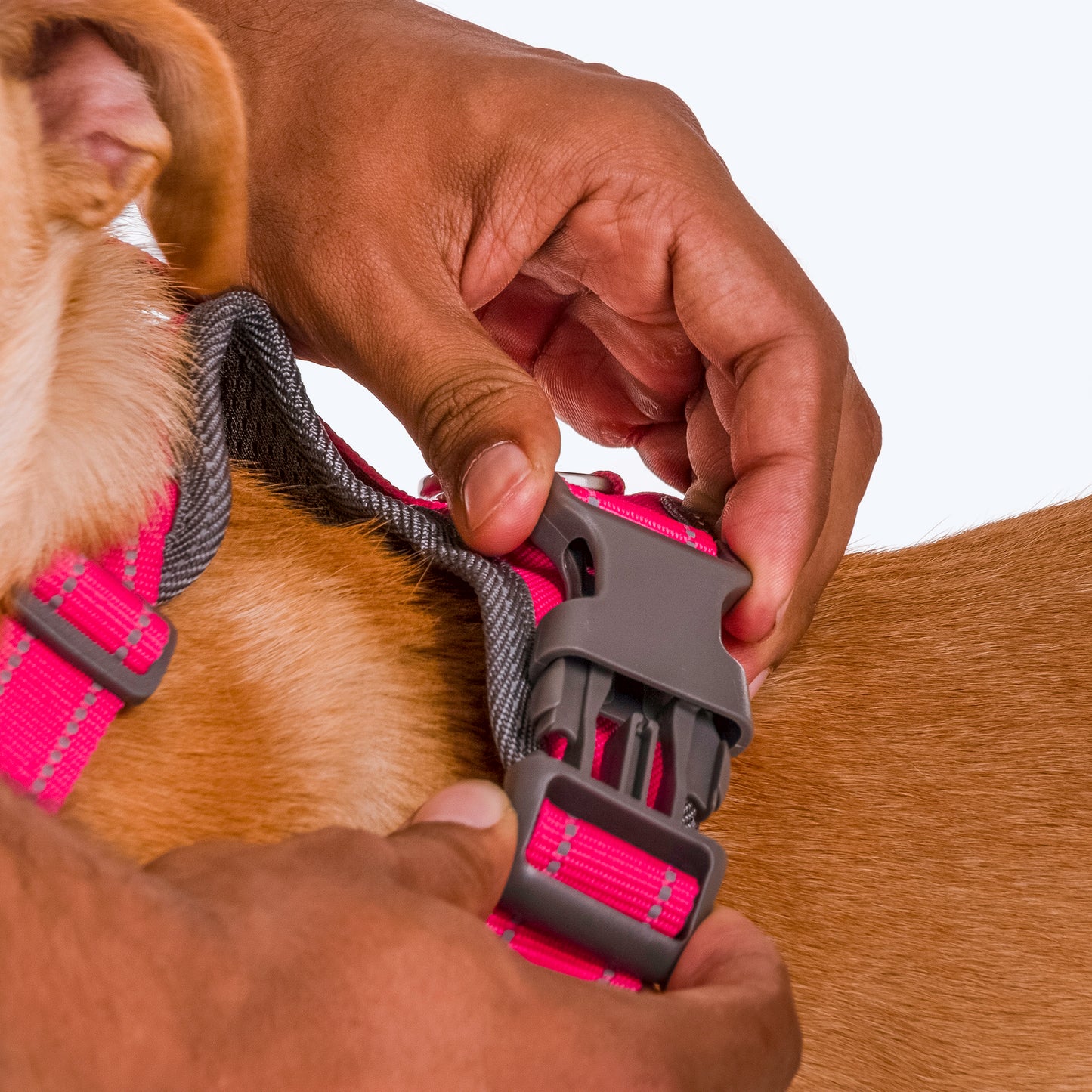 HUFT Active Pet Dog Harness - Magenta Pink_08