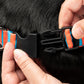 HUFT Personalised Summer Bloom Collar With Bow Tie For Dog - Blue - Heads Up For Tails