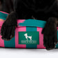 HUFT Pawsome Blossom Lounger Bed For Dog - Green & Pink - Heads Up For Tails