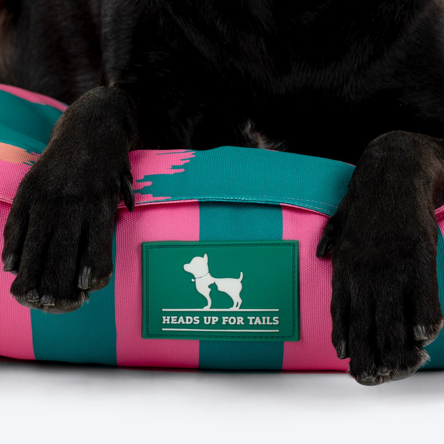 HUFT Pawsome Blossom Lounger Bed For Dog - Green & Pink - Heads Up For Tails