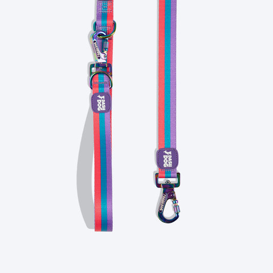 Dash Dog Horizontal Pace 6 Way Leash - Violet, Green & Red