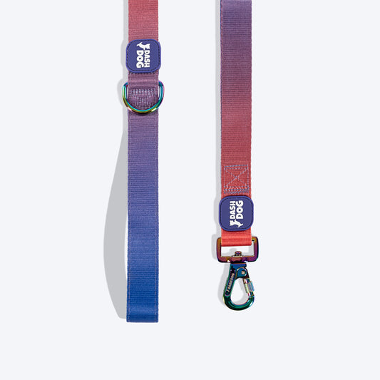 Dash Dog Flow Dual Handle Leash For Dog - Red & Purple - Heads Up For Tails