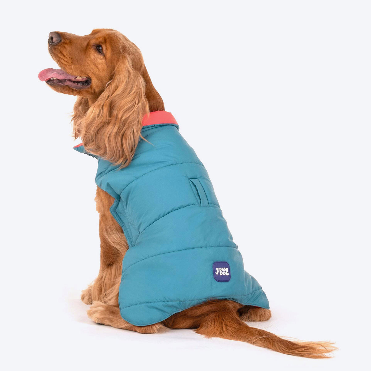 Dash Dog Puffer Dog Jacket - Aqua & Coral, Leash Opening