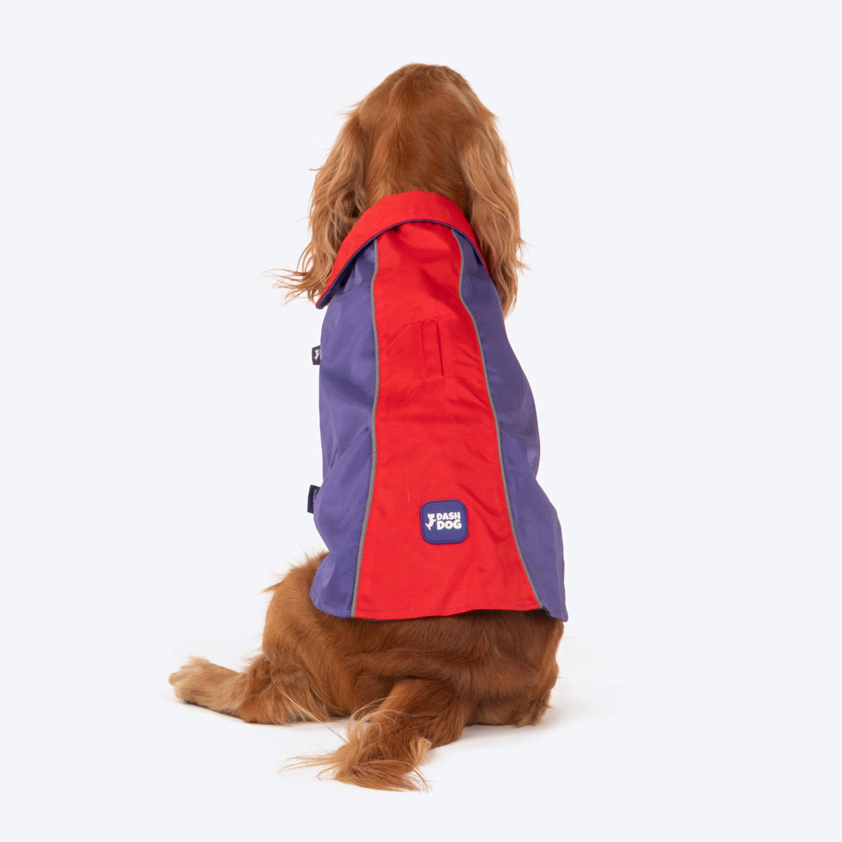 Dash Dog Outdoor Dog Jacket - Violet &amp; Red, Leash Opening