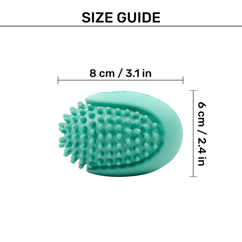 Dash Dog Explorer's Shell Chew Toy For Dog - Teal - Heads Up For Tails