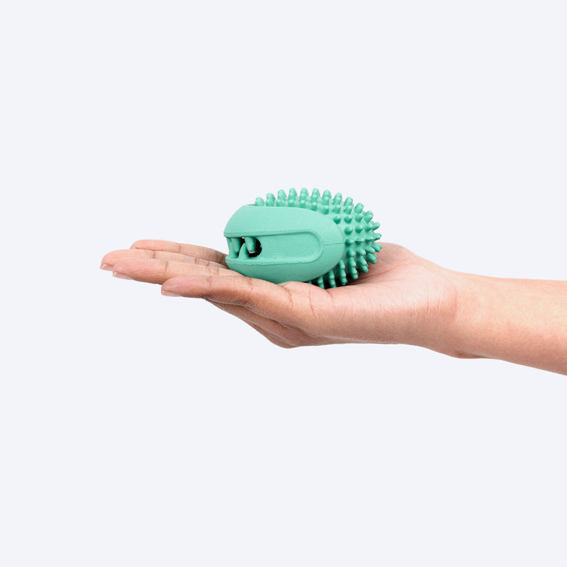 Dash Dog Explorer's Shell Chew Toy For Dog - Teal - Heads Up For Tails