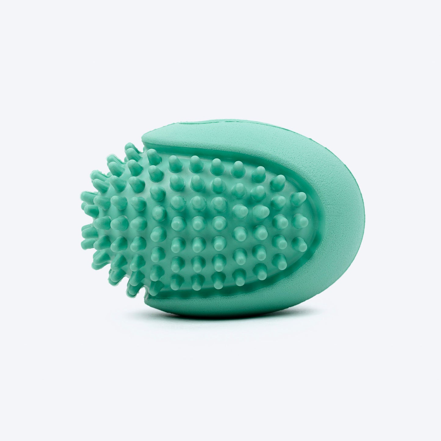 Dash Dog Explorer's Shell Chew Toy For Dog - Teal - Heads Up For Tails