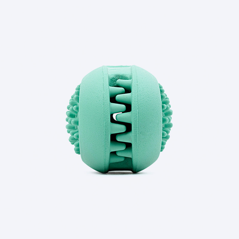 Dash Dog Explorer's Shell Chew Toy For Dog - Teal - Heads Up For Tails