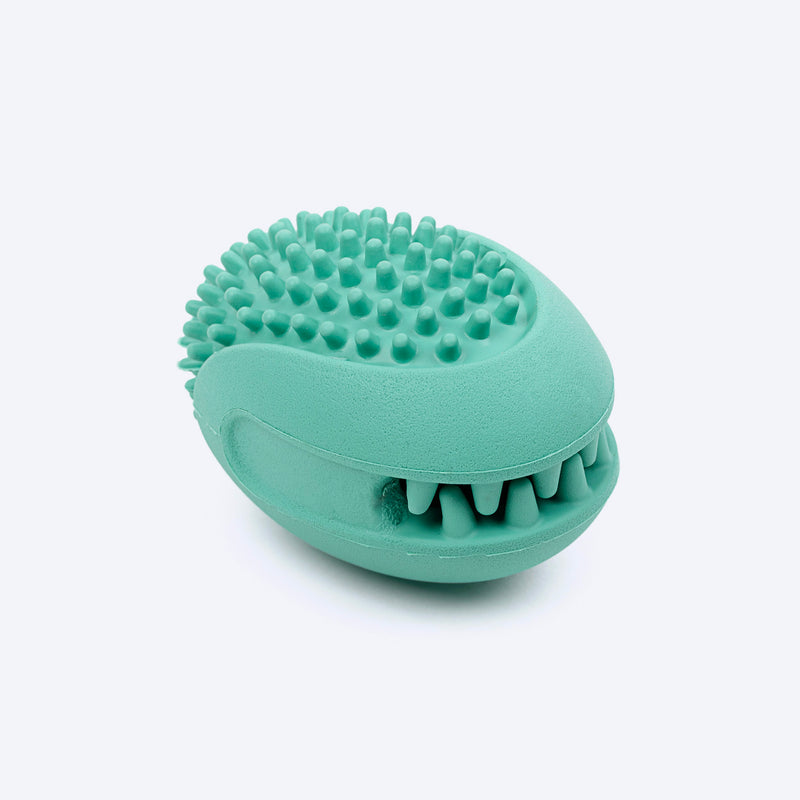 Dash Dog Explorer's Shell Chew Toy For Dog - Teal - Heads Up For Tails