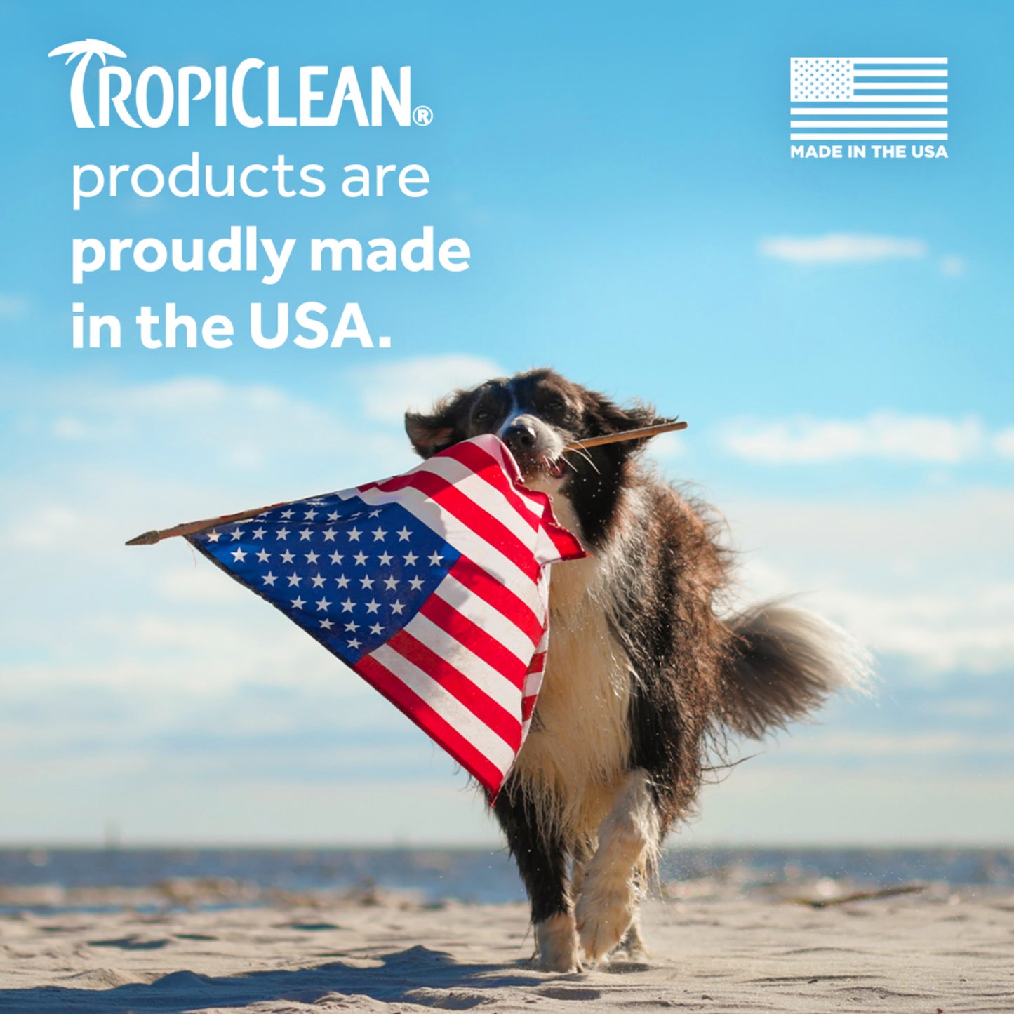 TropiClean Dual Action Ear Cleaner for Pets (Cleansing + Drying) - 118 ml - Heads Up For Tails