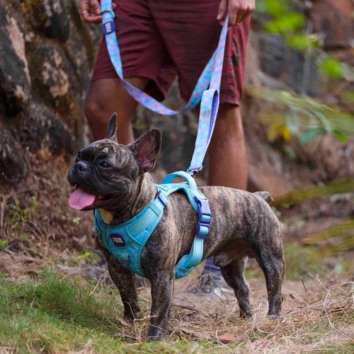 Dash Dog Circle Print Leash - Aqua Blue & Lavender