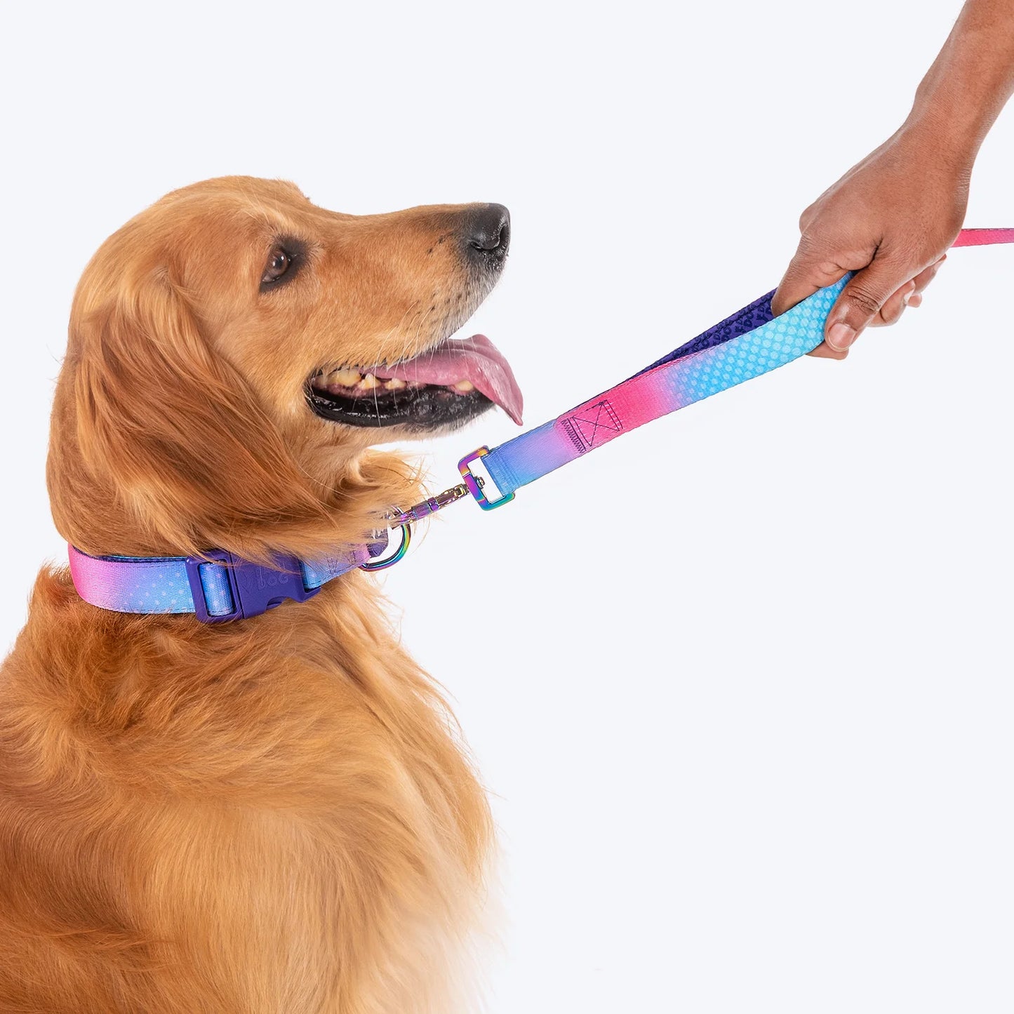 Dash Dog Flow Print Leash - Pink & Aqua Blue