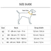 Dash Dog Padded Collar For Dog - Blue & Orange