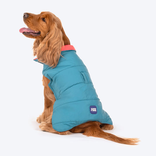 Dash Dog Puffer Dog Jacket - Aqua & Coral