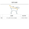 Dash Dog Trailmate Multipurpose Leash For Dog - Blue