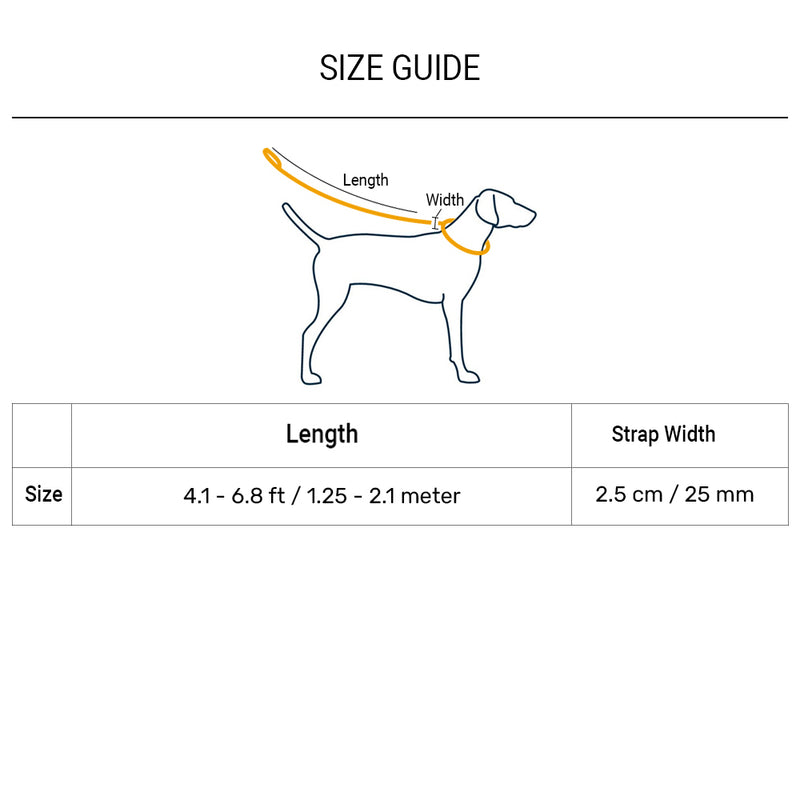 Dash Dog Trailmate Multipurpose Leash For Dog - Blue