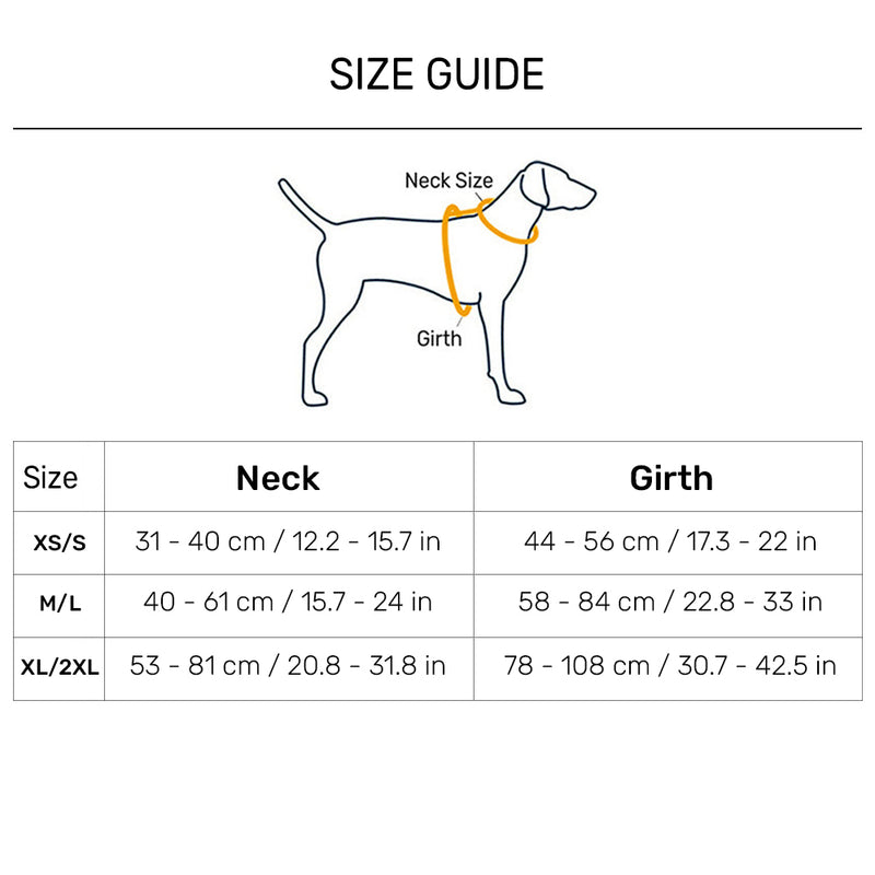 Dash Dog Walk Pro Harness For Dog - Royal Blue & Yellow