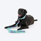 Dash Dog Ethernal Fade Dual Handle Leash For Dog - Aqua_04