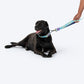 Dash Dog Ethernal Fade Dual Handle Leash For Dog - Aqua_06