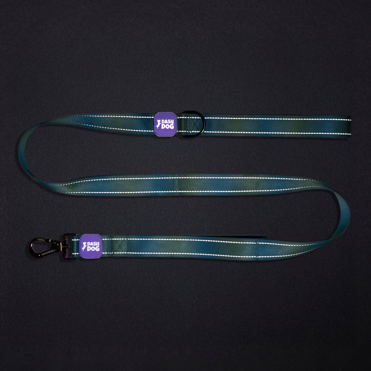Dash Dog Ethernal Fade Dual Handle Leash For Dog - Aqua_12