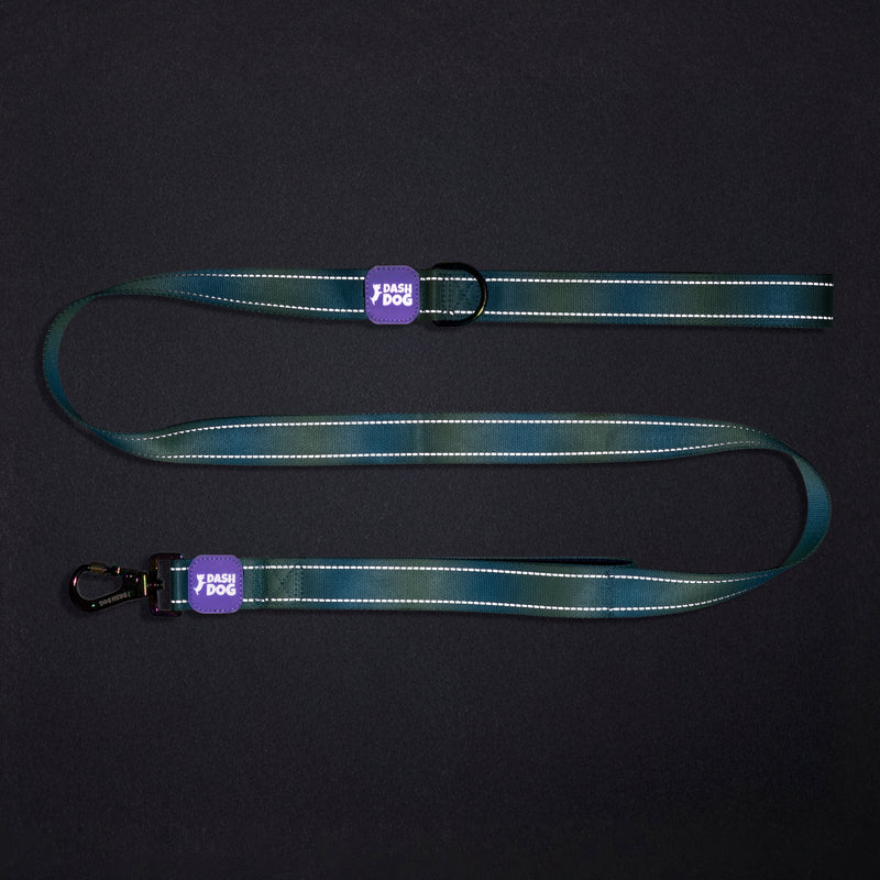 Dash Dog Ethernal Fade Dual Handle Leash For Dog - Aqua_12