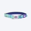 Dash Dog Ethernal Fade Padded Collar For Dog - Aqua_01