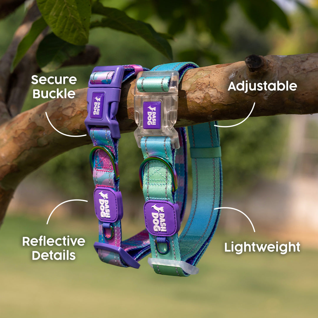 Dash Dog Ethernal Fade Padded Collar For Dog - Aqua_02