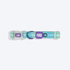 Dash Dog Ethernal Fade Padded Collar For Dog - Aqua_09