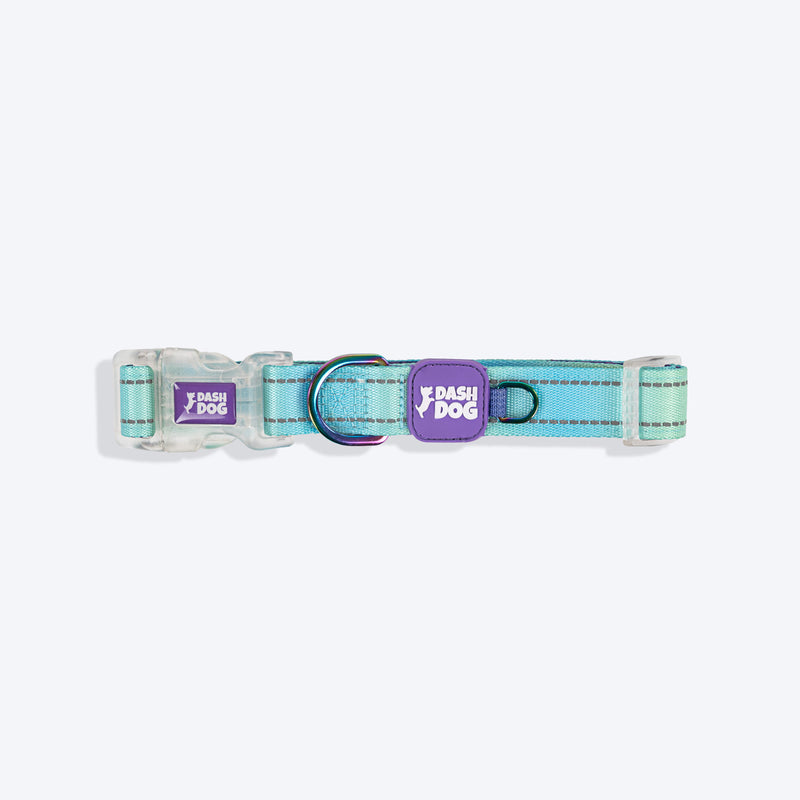 Dash Dog Ethernal Fade Padded Collar For Dog - Aqua_09
