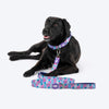 Dash Dog Galaxy Dual Handle Leash For Dog - Purple_05