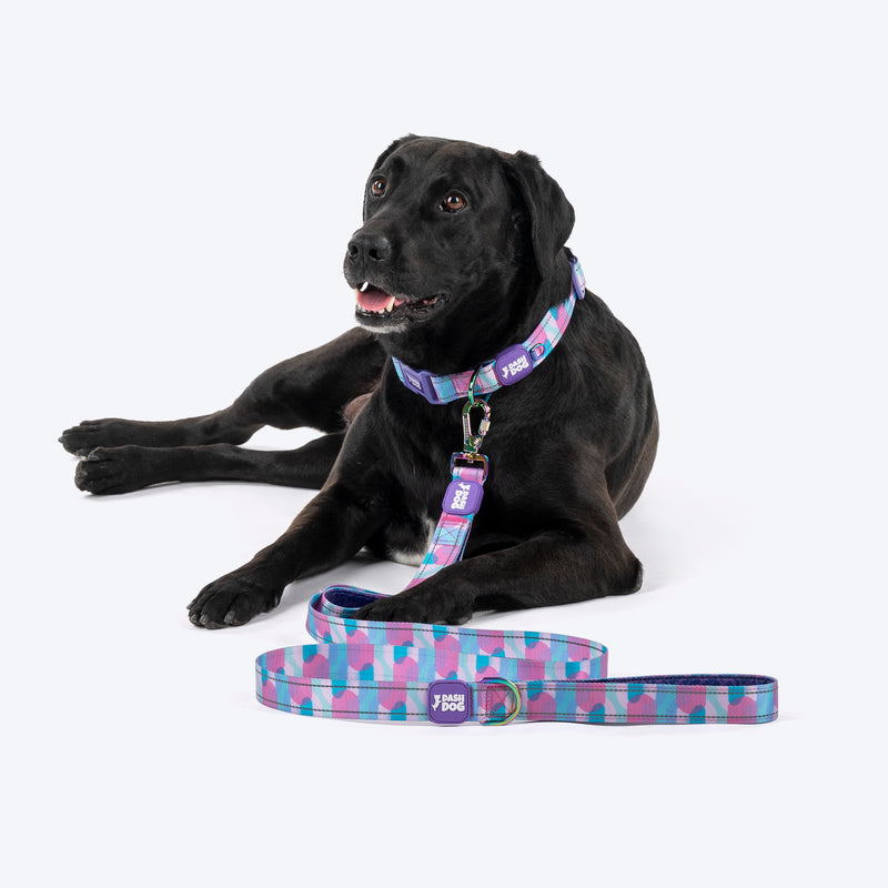Dash Dog Galaxy Dual Handle Leash For Dog - Purple_05