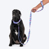 Dash Dog Galaxy Dual Handle Leash For Dog - Purple_06