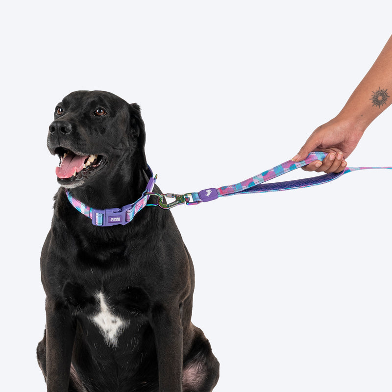 Dash Dog Galaxy Dual Handle Leash For Dog - Purple_07