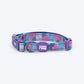 Dash Dog Galaxy Padded Collar For Dog - Purple_07