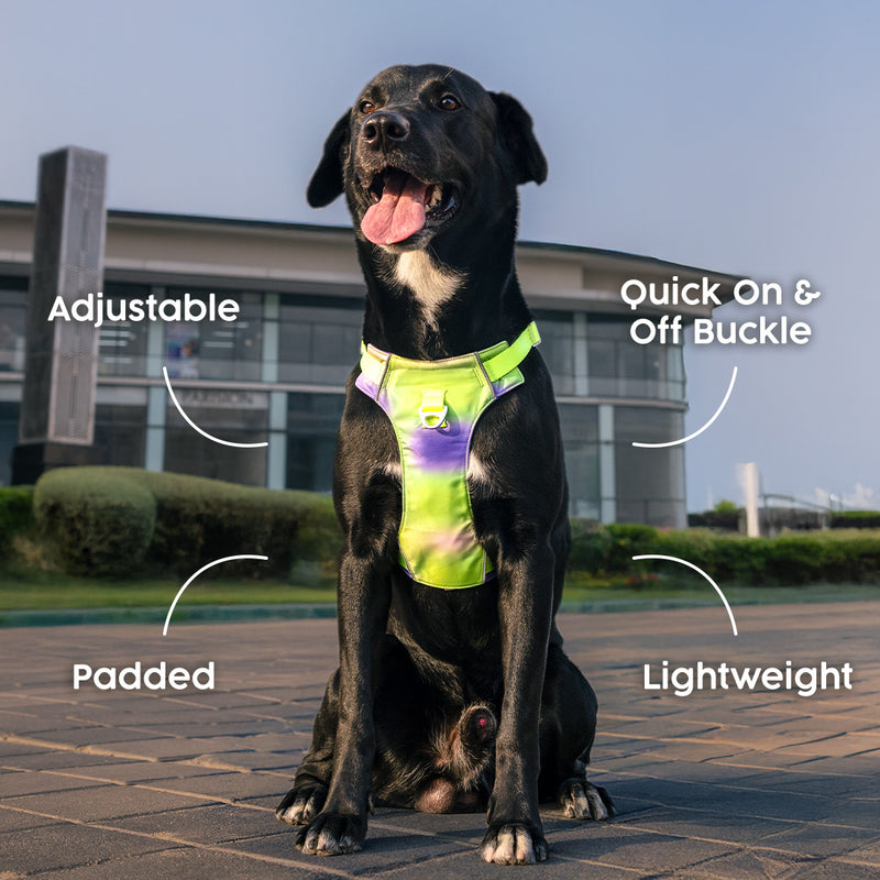 Dash Dog Neon Fusion Outdoor Ease Harness For Dog - Neon Gree_02