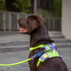 Dash Dog Neon Fusion Outdoor Ease Harness For Dog - Neon Gree_04