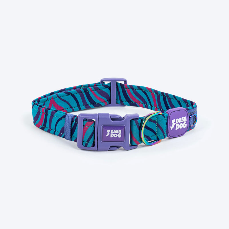 Dash Dog Ocean Breeze Padded Collar For Dog - Teal Blue_01