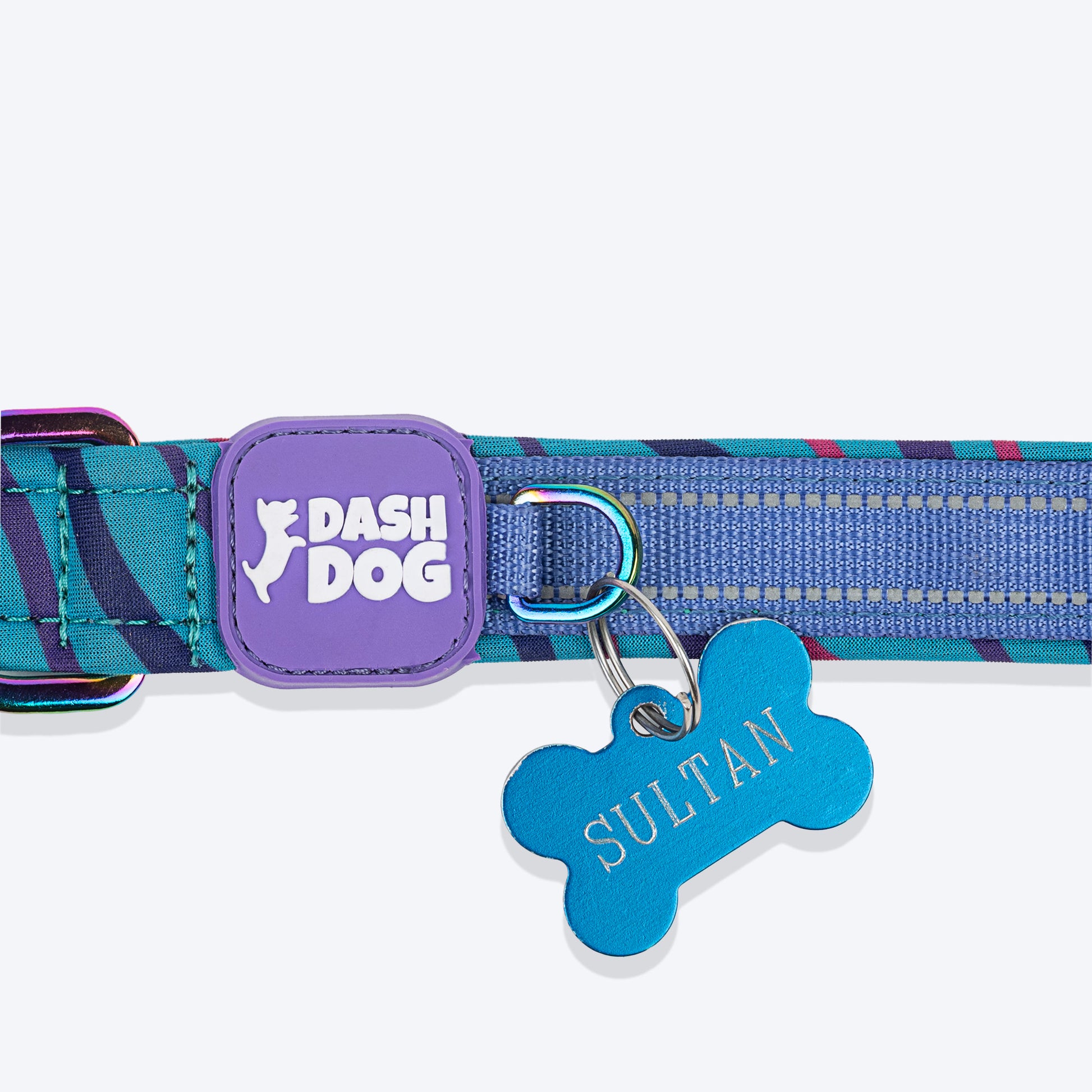 Dash Dog Ocean Breeze Padded Collar For Dog - Teal Blue_12