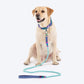 Dash Dog Powerpull Rope Leash For Dog - Aqua Blue_05