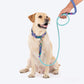 Dash Dog Powerpull Rope Leash For Dog - Aqua Blue_06