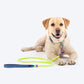 Dash Dog Powerpull Rope Leash For Dog - Neon Green_05