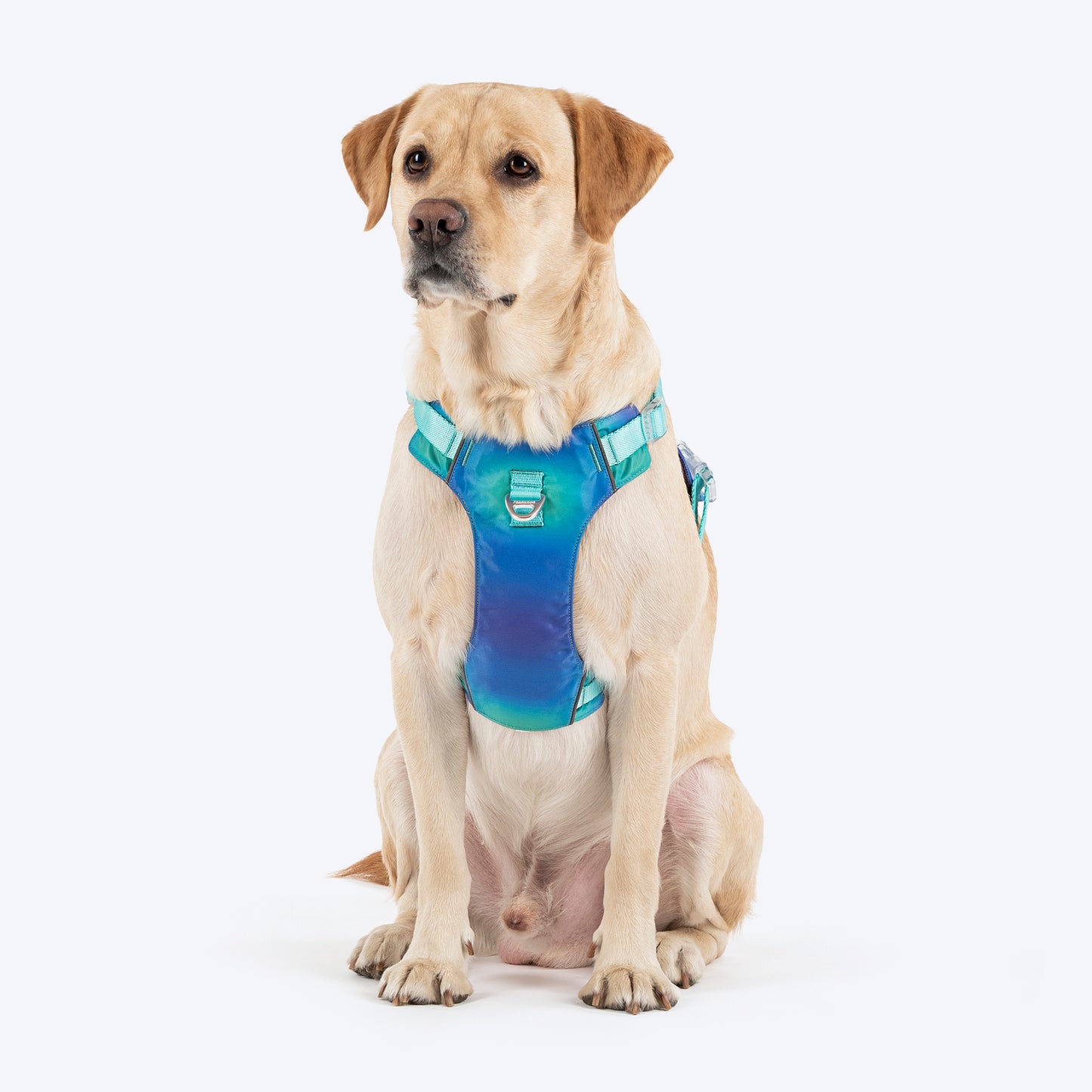 Dash Dog Seafoam Storm Outdoor Ease Harness For Dog - Aqua Blue_01