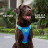 Dash Dog Seafoam Storm Outdoor Ease Harness For Dog - Aqua Blue_02