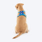 Dash Dog Seafoam Storm Outdoor Ease Harness For Dog - Aqua Blue_05