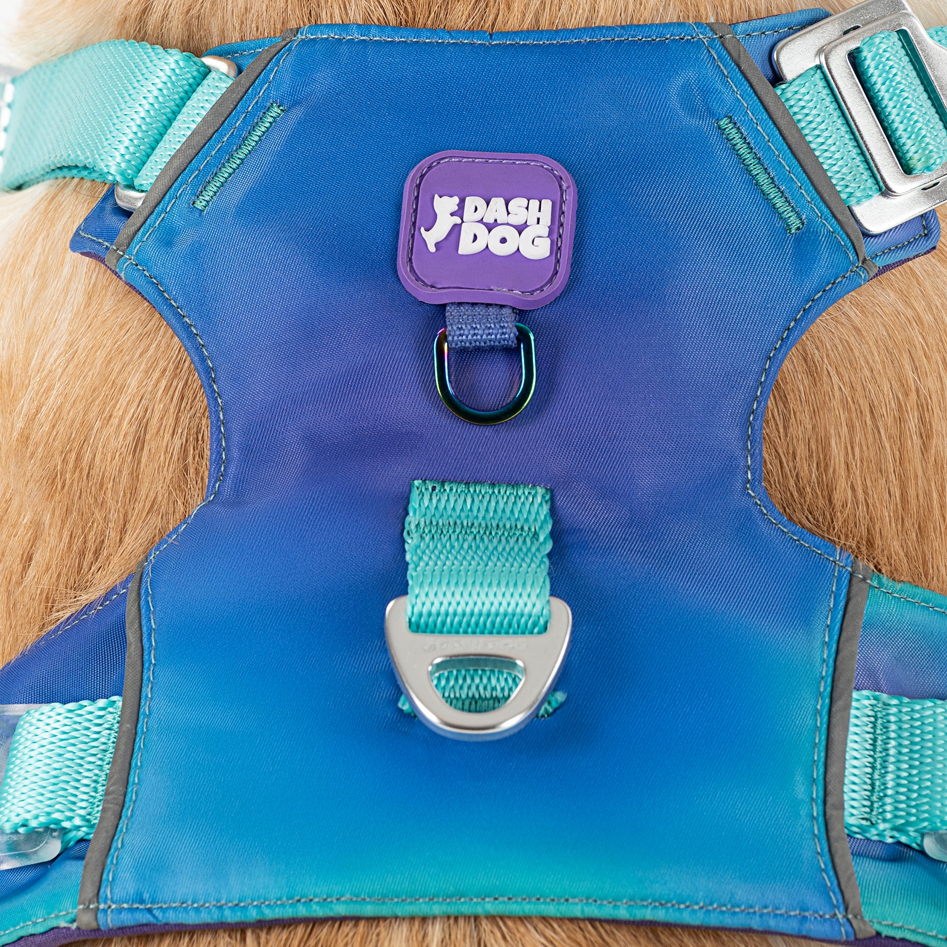 Dash Dog Seafoam Storm Outdoor Ease Harness For Dog - Aqua Blue_08