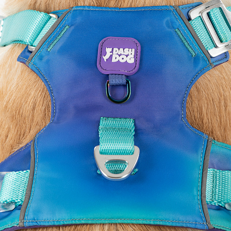 Dash Dog Seafoam Storm Outdoor Ease Harness For Dog - Aqua Blue_08