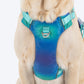 Dash Dog Seafoam Storm Outdoor Ease Harness For Dog - Aqua Blue_10