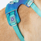 Dash Dog Seafoam Storm Outdoor Ease Harness For Dog - Aqua Blue_11